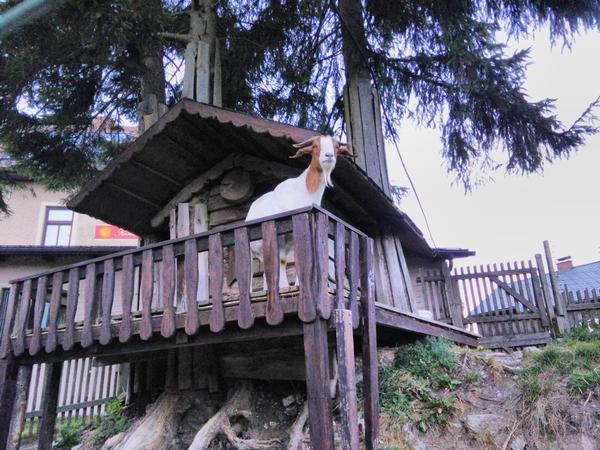 Villa Zur Zufriedenheit Semmering Exteriér fotografie